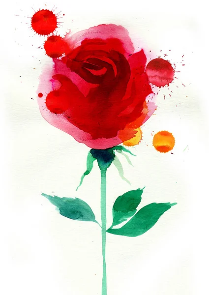 Rosa Vermelha Fundo Branco Tinta Desenhada Mão Aquarela Com Salpicos — Fotografia de Stock