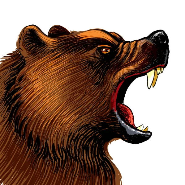 Angry grizzly bear. Hand-drawn ink on paper and hand colored on tablet
