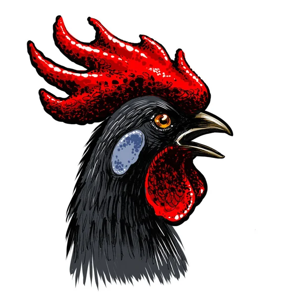 Black Rooster Head White Background Hand Drawn Ink Paper Hand — Stock Photo, Image