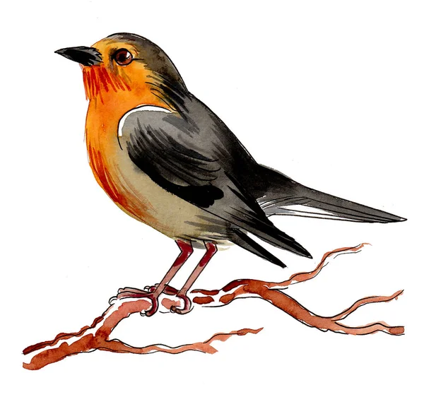 Uccello Ramo Albero Inchiostro Acquerello Disegnati Mano Carta — Foto Stock