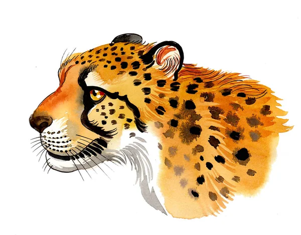 Cheetah Sketch by Aki-rain on DeviantArt