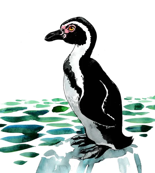 Πιγκουίνος Στο Παγόβουνο Σχέδιο Μελανιού Και Ακουαρέλας — Φωτογραφία Αρχείου