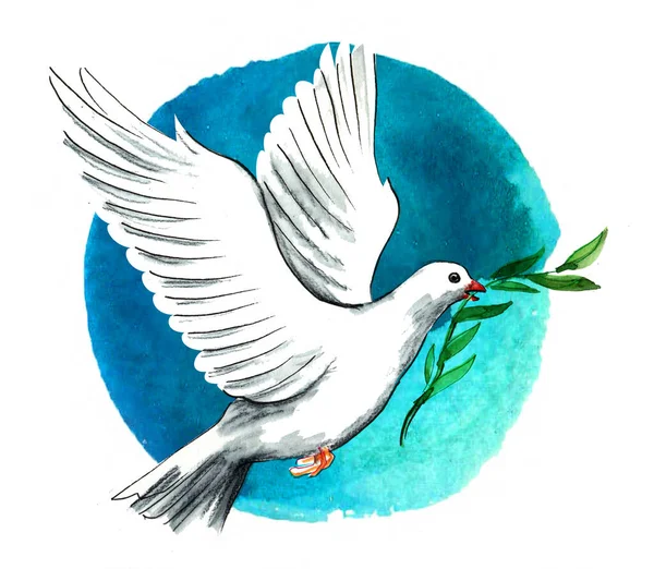 Flying White Dove Olive Branch Hand Drawn Ink Watercolor Paper — Stock Photo, Image