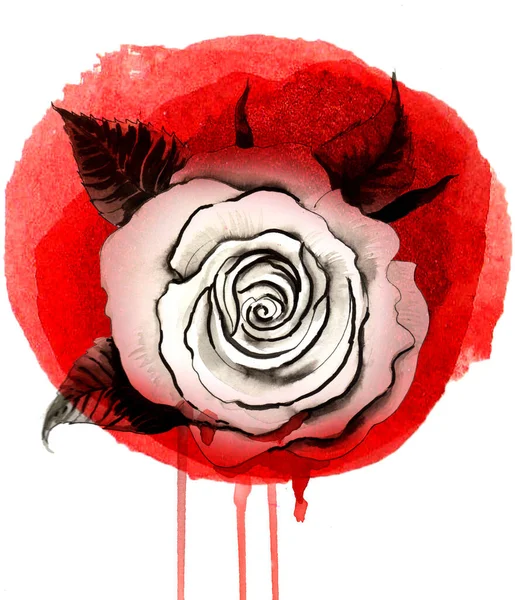 Krvácející Bílá Růže Ručně Kreslený Inkoust Akvarel Papíře — Stock fotografie