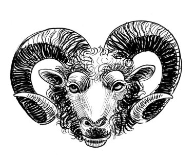 Koç kafalı. El çizimi kağıt üzerine siyah beyaz mürekkep