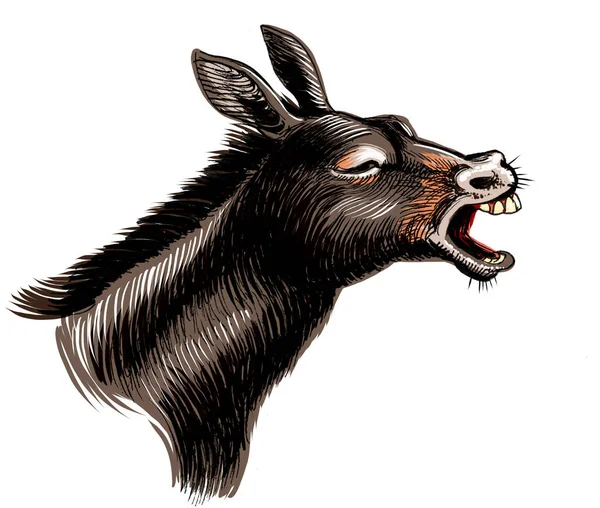 Shouting Mule Head Hand Drawn Ink Paper Hand Colored Tablet — Stock Photo, Image