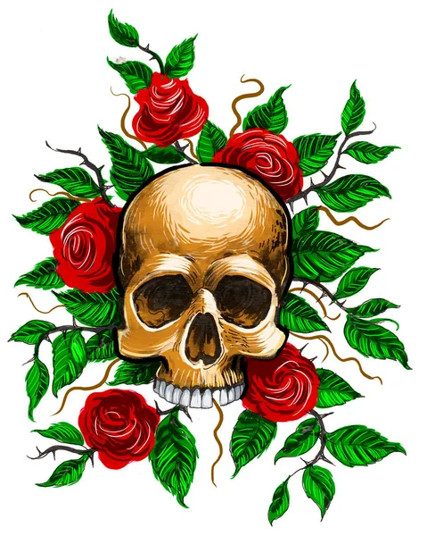 Lidská Lebka Rudé Růže Ručně Kreslený Inkoust Papíře Ručně Barvený — Stock fotografie