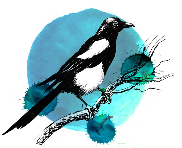 Uccello Gazza Ramo Albero Inchiostro Acquerello Disegnati Mano Carta — Foto Stock