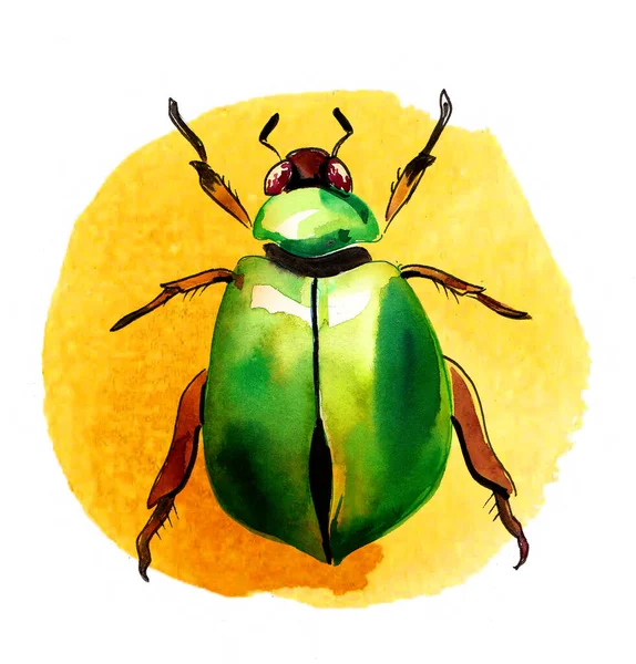 Green Beetle Yellow Background Hand Drawn Ink Watercolor Paper — Stock Photo, Image
