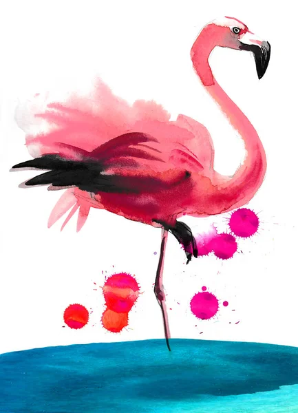 Ροζ Φλαμίνγκο Πουλί Σκιαγραφία Μελανιού Και Υδατογραφίας — Φωτογραφία Αρχείου