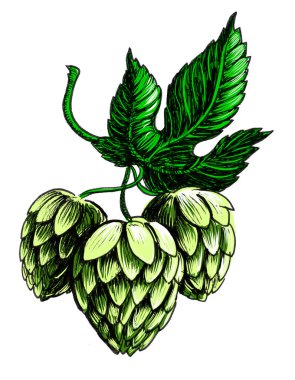 Zıplama. Kağıda el çizimi mürekkep, tablete de el boyası.