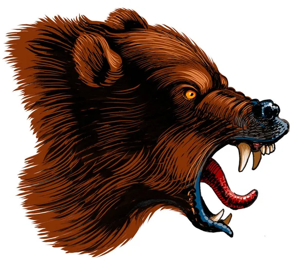 Vrålande Grizzlybjörn Handritat Bläck Papper Och Handfärgat Tabletten — Stockfoto