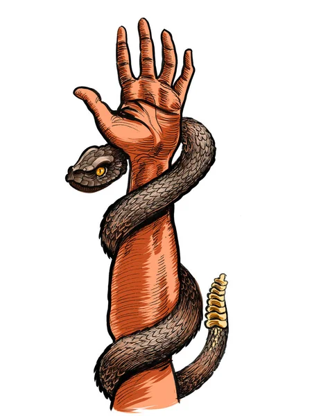ガラガラヘビと手 紙本水墨画手彩色 — ストック写真
