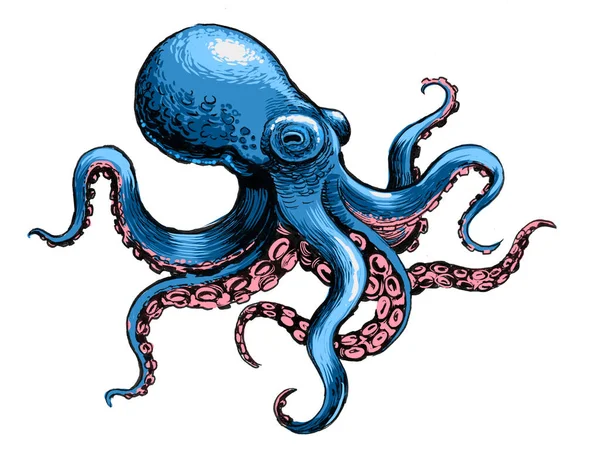 Octopus Dier Handgetekende Inkt Papier Met Hand Gekleurd Tablet — Stockfoto