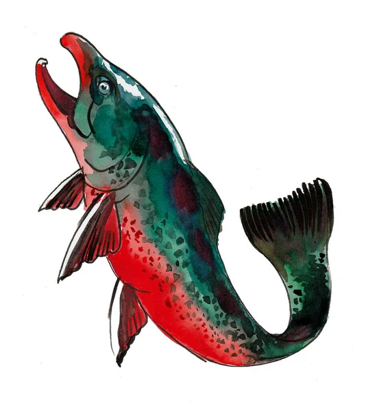 野生のサケ魚 水墨画 — ストック写真