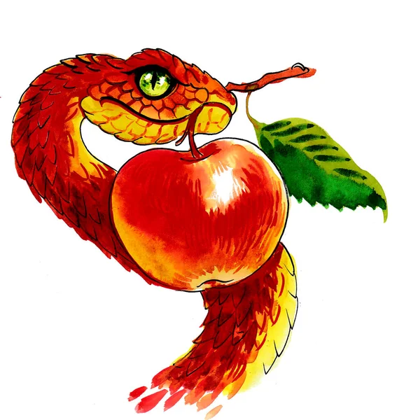Kígyó Almával Tinta Akvarell Rajz — Stock Fotó