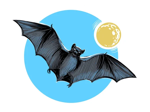 Murciélago Volador Tinta Dibujada Mano Papel Coloreada Mano Tableta — Foto de Stock
