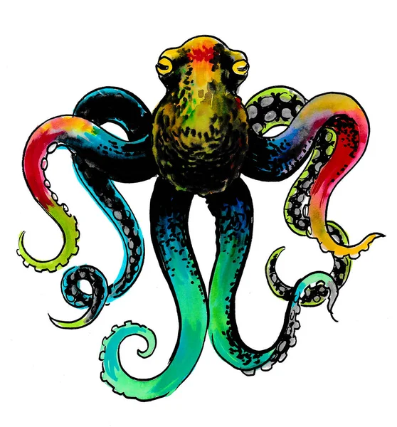 Colorful Octopus Ink Watercolor Drawing — Stock Photo, Image