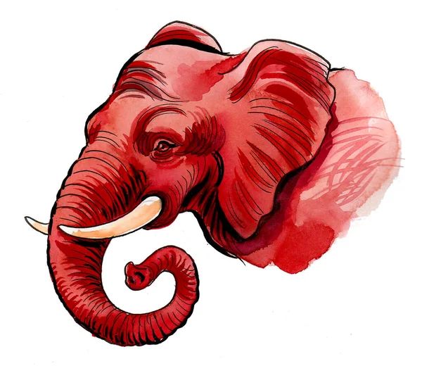 Cabeça Elefante Rosa Desenho Tinta Aquarela — Fotografia de Stock