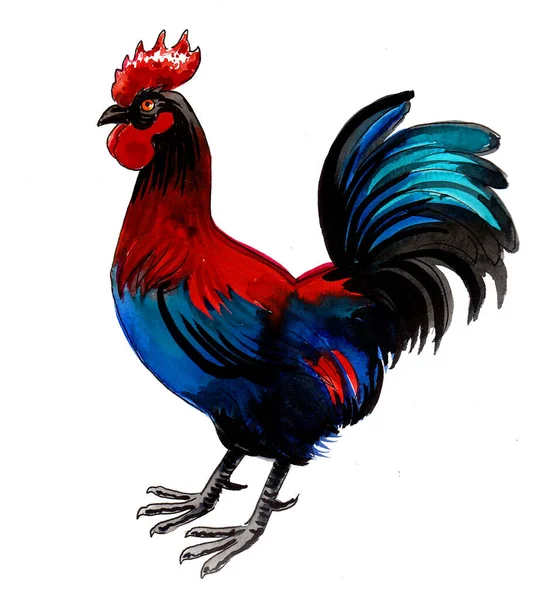Renkli Horoz Kuşu Mürekkep Suluboya Çizim — Stok fotoğraf
