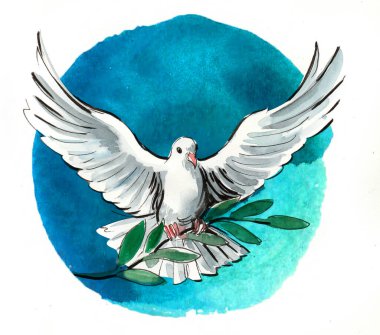 Zeytin dalıyla barış güvercini. Elle çizilmiş mürekkep ve sıçramalı suluboya resim.