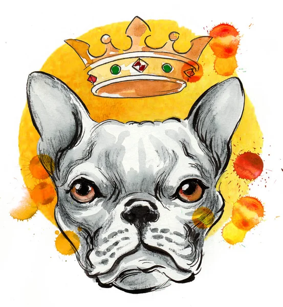 Royal Bulldog Head Crown Hand Drawn Ink Watercolor Sketch Splatters — Stock Photo, Image