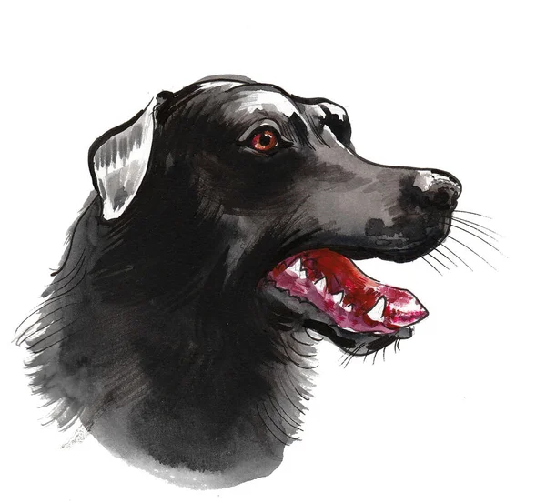 Черная Голова Собаки Ручные Чернила Акварель Бумажном Рисунке — стоковое фото