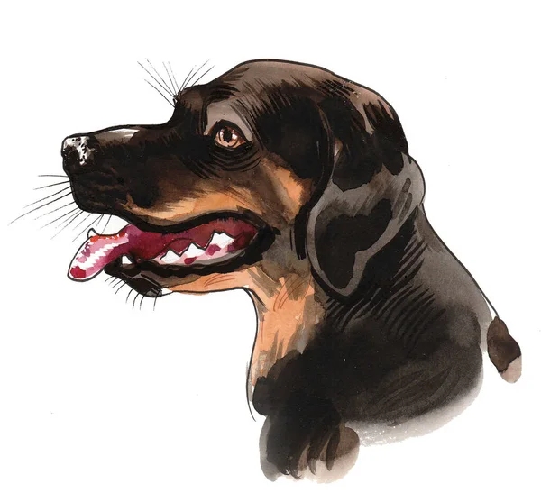 Черная Голова Собаки Ручные Чернила Акварель Бумажном Рисунке — стоковое фото