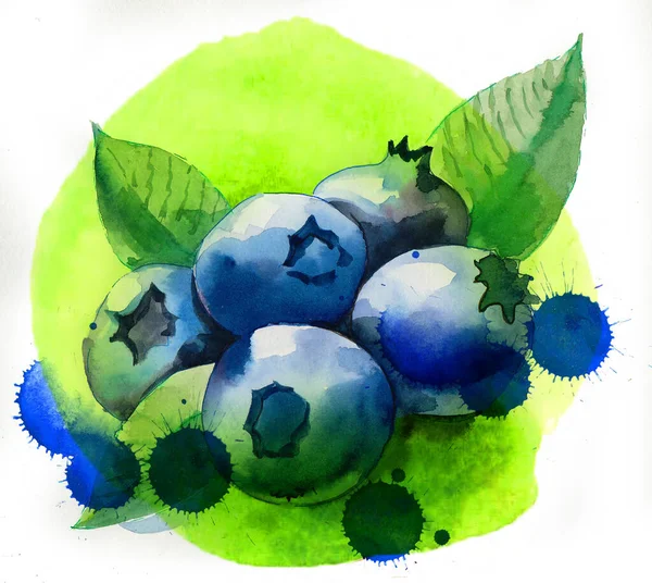 Ein Bund Blauer Beeren Handgezeichnete Aquarellmalerei — Stockfoto