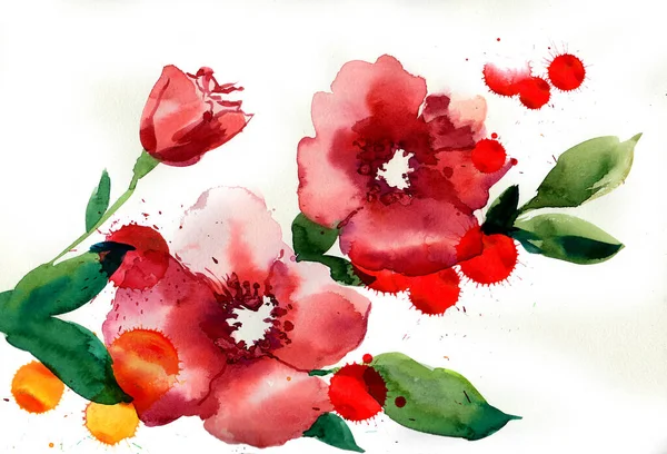 Flores Rojas Florecientes Pintura Acuarela Dibujada Mano —  Fotos de Stock