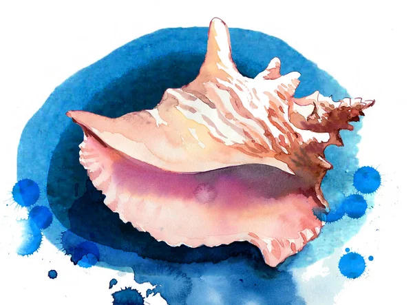 Coque Mer Sur Fond Bleu Aquarelle Dessinée Main — Photo