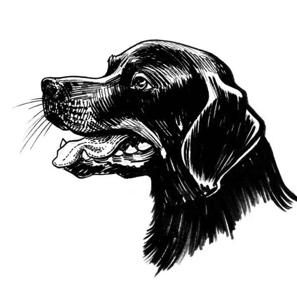Zwart Hondenhoofd Handgetekende Retro Gestileerde Inkt Zwart Wit Tekening — Stockfoto