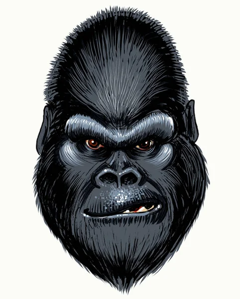 Faccia Gorilla Pazzo Inchiostro Retrò Disegnato Mano Carta Colorato Mano — Foto Stock