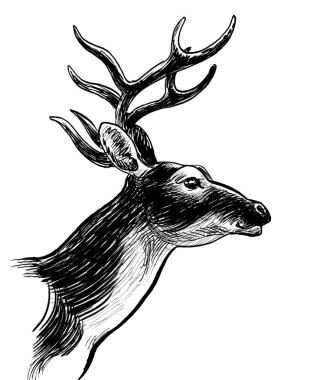 Geyik kafası. El yapımı eski moda mürekkep siyah beyaz çizimler.