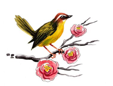 Çiçek açan bir ağaç dalındaki kuş. El yapımı mürekkep ve suluboya çizim.