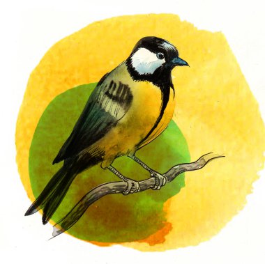 Ağaç dalındaki kuş. El yapımı mürekkep ve suluboya çizim.