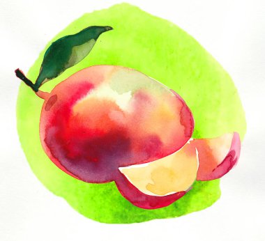 Mango meyvesi. El yapımı mürekkep ve suluboya çizim.