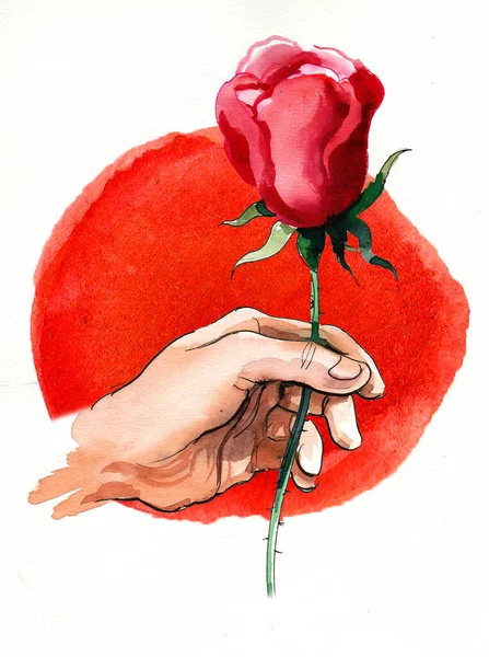 Hand with a red rose flower. Hand-drawn ink and watercolor sketch