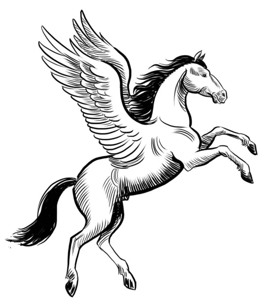 Летающая Лошадь Пегаса Чернила Черно Белые Нарисованные Вручную — стоковое фото