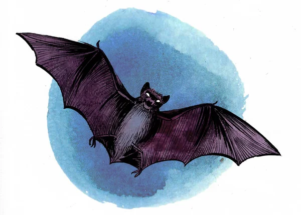 飞行蝙蝠 手绘油墨和水彩画 — 图库照片