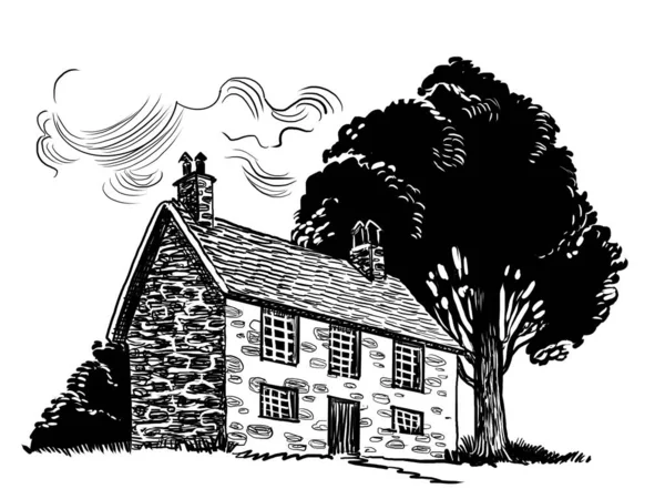 Старый Дом Сельской Местности Черно Белая Иллюстрация — стоковое фото