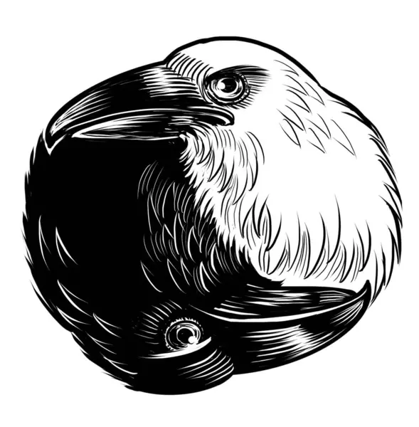 Vraní Ptáci Jako Symbol Jin Jang Ručně Kreslená Černobílá Ilustrace — Stock fotografie