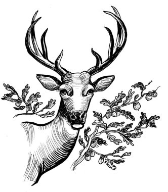 Geyik kafası. Mürekkep siyah beyaz çizim