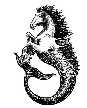 Mitolojik hipokampus hayvanı. Elle çizilmiş siyah ve beyaz çizimler