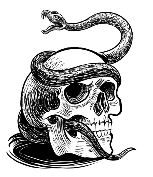 Human skull and snake. Hand-drawn black and white illustration