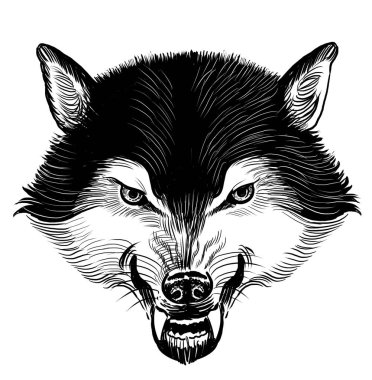 Kızgın kurt kafası. Elle çizilmiş siyah ve beyaz çizimler