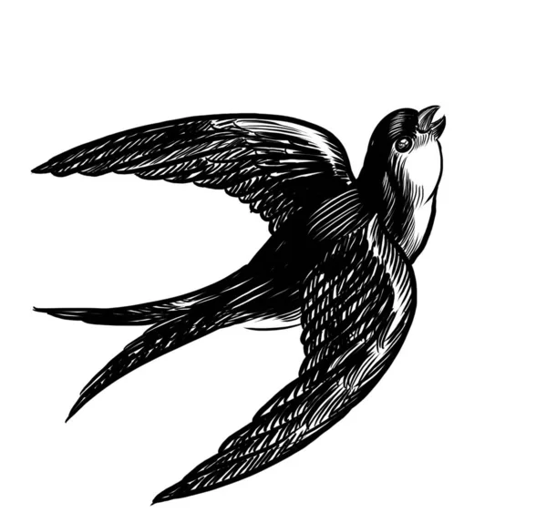 Létající Pták Ručně Kreslené Retro Černobílé Ilustrace — Stock fotografie