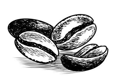 Bir avuç kahve çekirdeği. Elle çizilmiş siyah ve beyaz çizimler