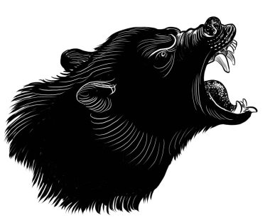 Kükreyen ayı. Elle çizilmiş siyah ve beyaz çizimler