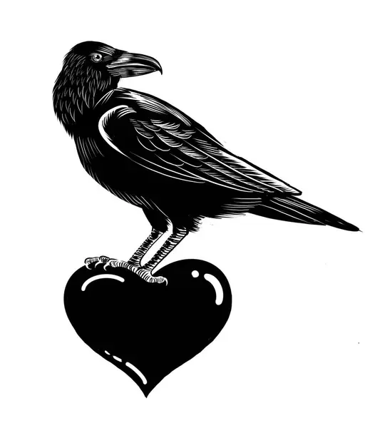 Vraní Pták Sedí Lidském Srdci Pár Ponožek Ručně Kreslené Retro — Stock fotografie